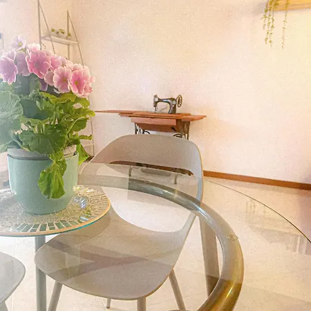 Apartman Picnic Salionze