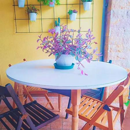 Picnic Apartman Salionze